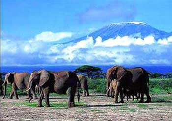 ����������ɽ