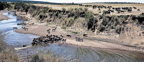 ����Ǩ��Ⱥ��