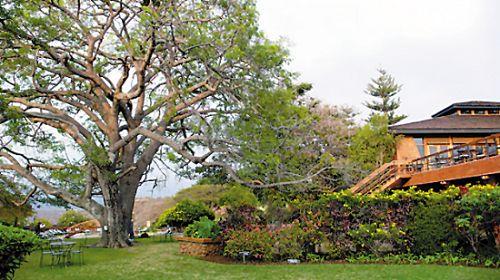 �������ǾƵ��Ժ