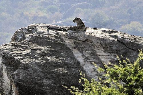 �����û�Ļ���