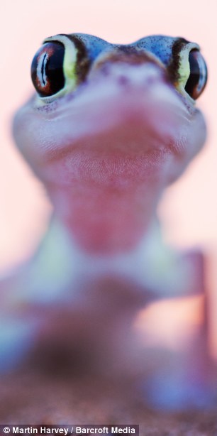 \