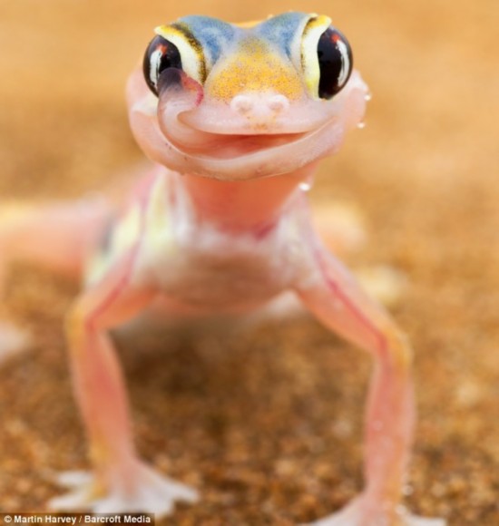 \