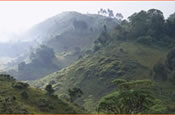 Small Valley in Kitulo