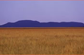Faraway hills at Kitulo