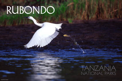 鲁邦多岛国家公园(Rubondo Island National Park)