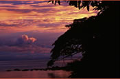 Sunrise at Rubondo Island
