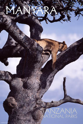ҹ԰Lake Manyara National Park
